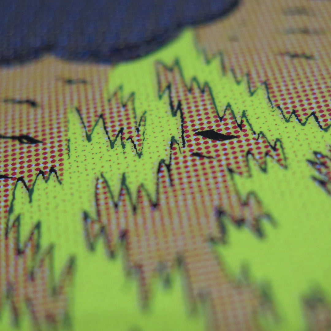 ダニエル・クロウズ 『REVELATIONS』シルクスクリーン版画